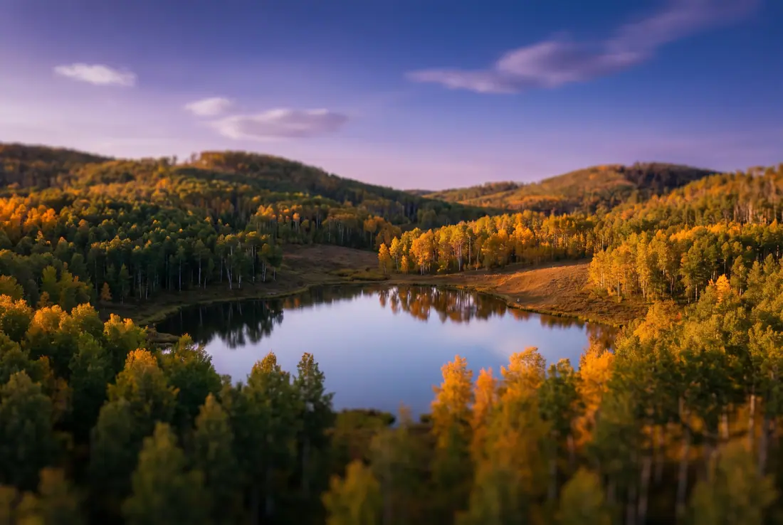 Rolling aspen hills turning gold around a small calm lake